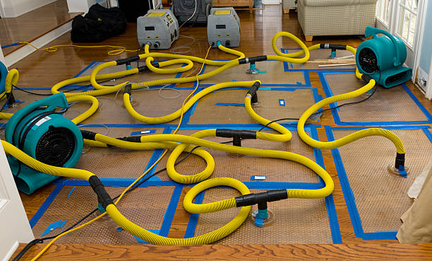 Professional Storm Water Damage Restoration technician working in Oak Ridge, FL